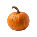 fresh carving pumpkin, each - khrysco