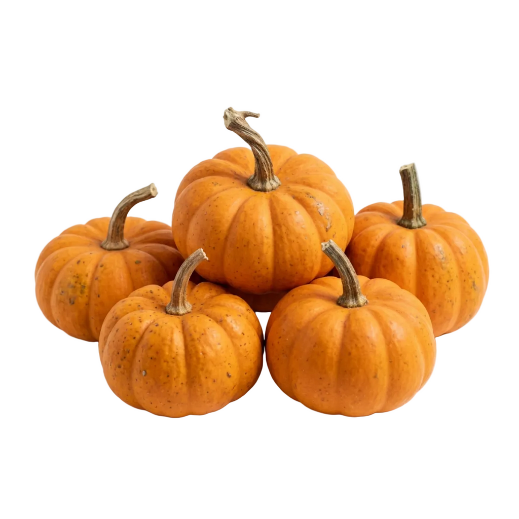 fresh mini pumpkins, 5 count bag - khrysco