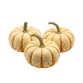 fresh mini tiger striped pumpkins, 3 count bag - khrysco