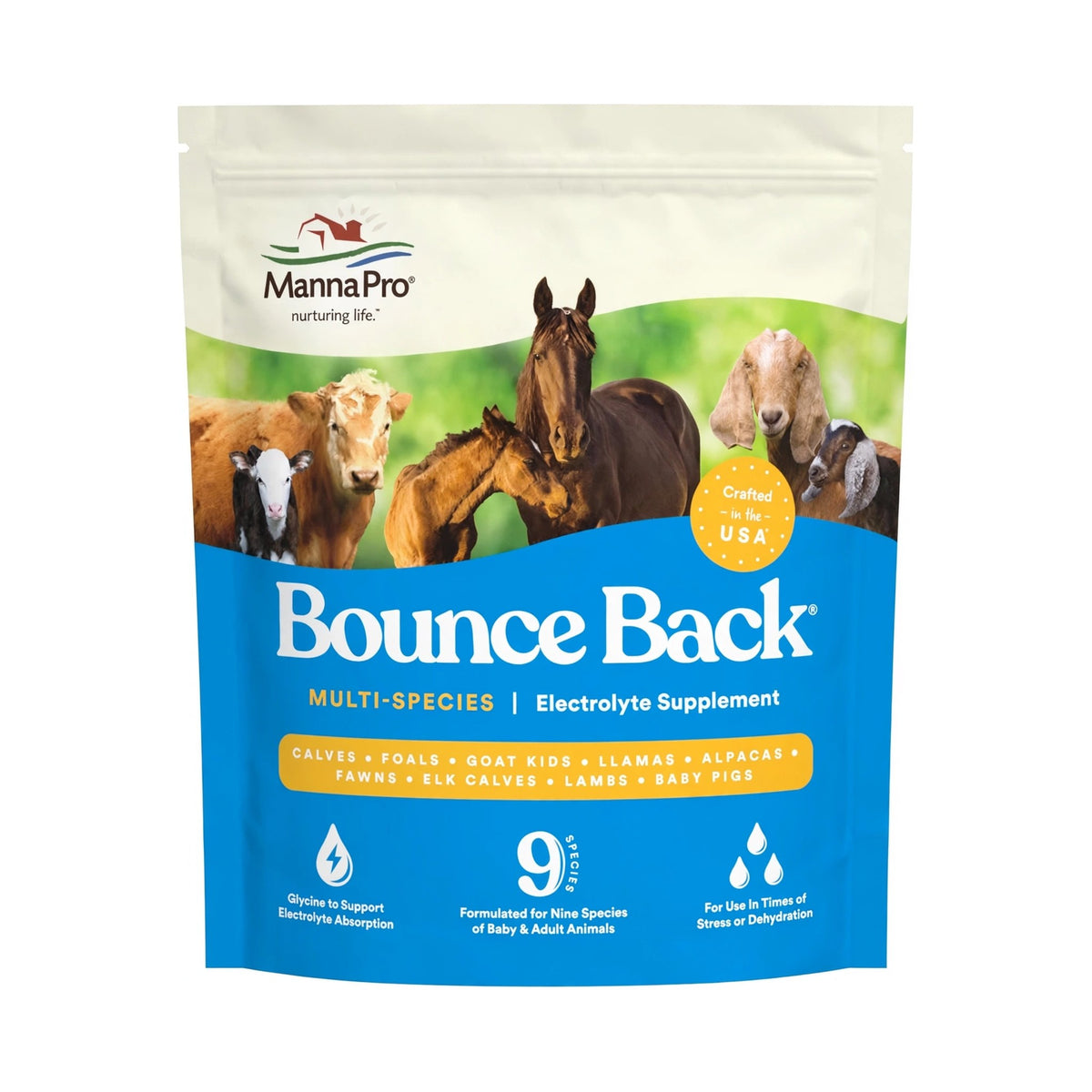 Manna Pro Bounce Back Multi-Species Electrolyte Supplement, 4 oz pouch