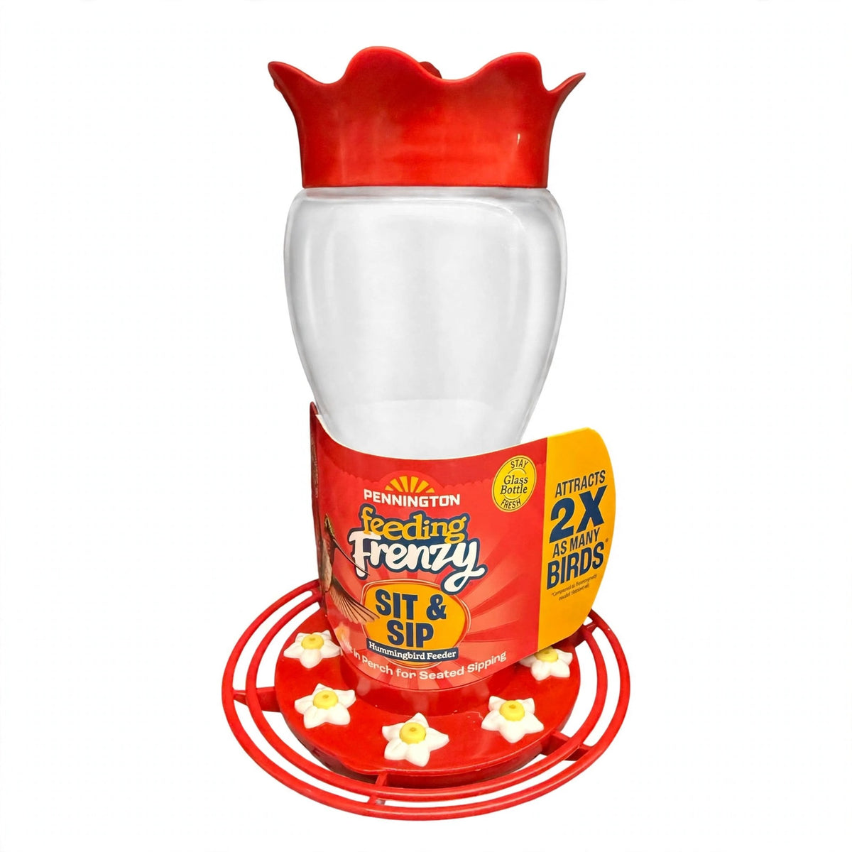 Pennington Feeding Frenzy Sit and Sip Glass Hummingbird Feeder, Red, 16 oz