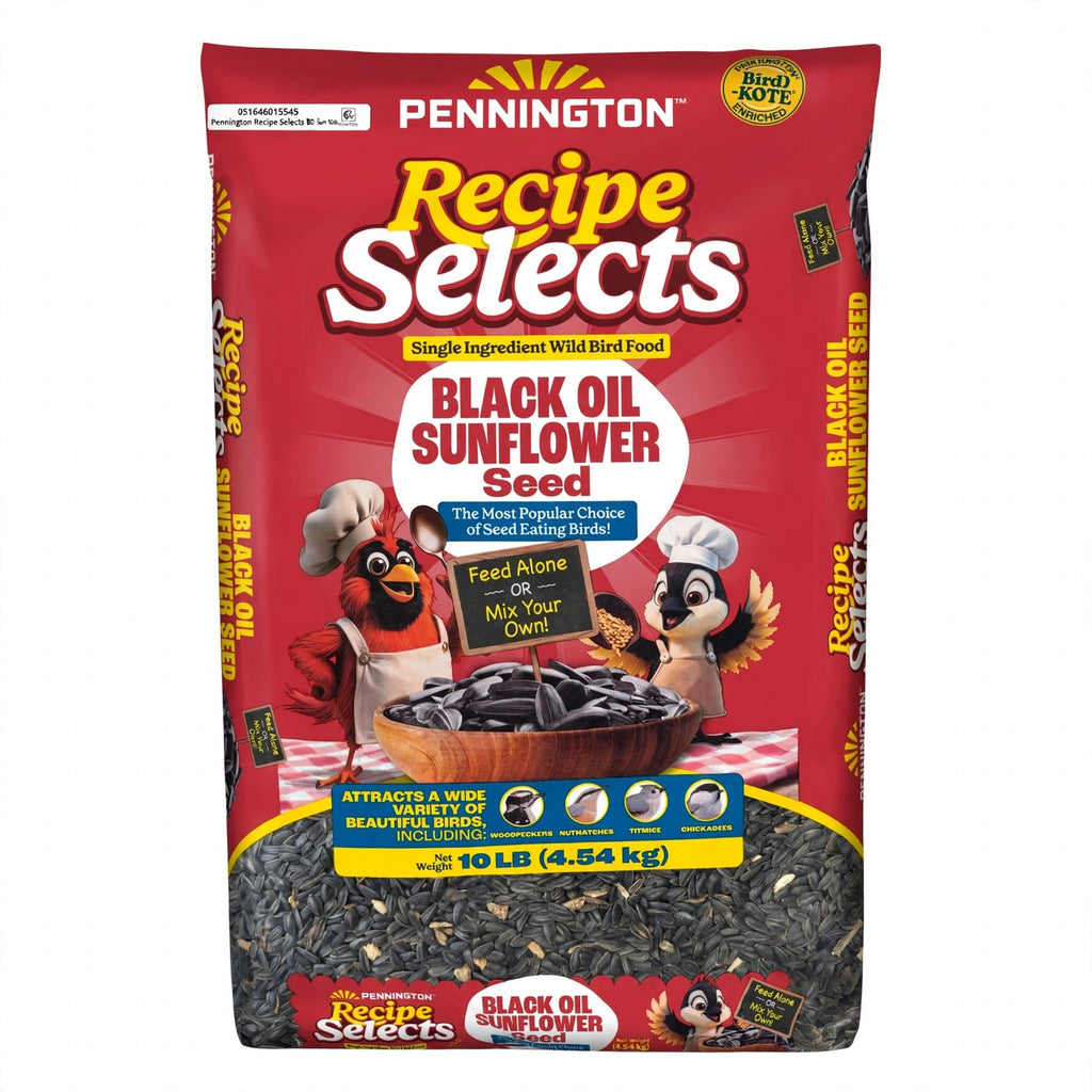Pennington Recipe Selects Black Oil Sunflower Seed Dry Wild Bird Feed, 10 lb bag