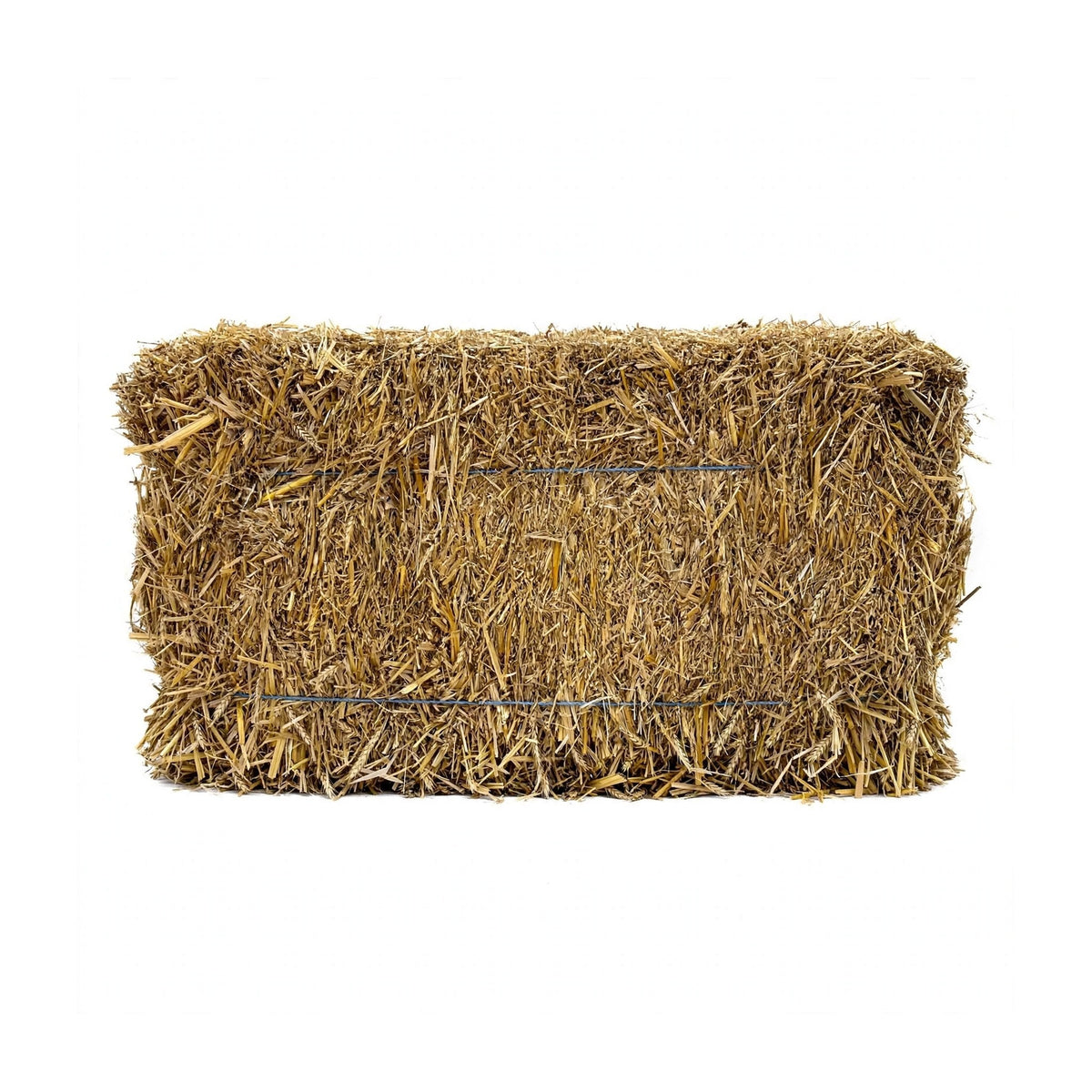 Wheat Straw Bale